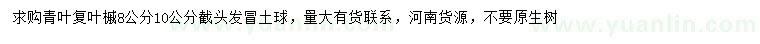 求购8、10公分青叶复叶槭