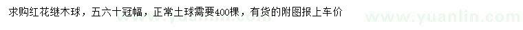 求购冠幅50、60公分红花继木球