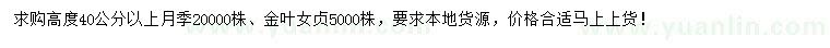 求购高40公分以上月季、金叶女贞