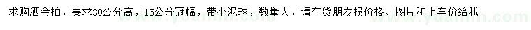 求购高30公分洒金柏