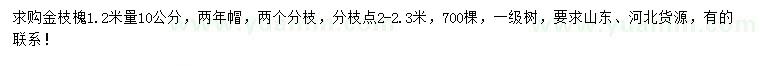 求购1.2米量10公分金枝槐