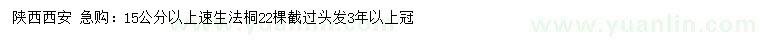 求购15公分以上速生法桐