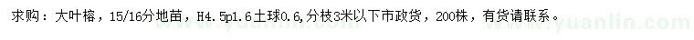 求购15、16公分大叶榕