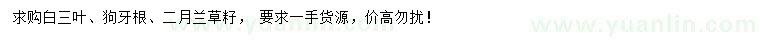 求购白三叶、狗牙根、二月兰