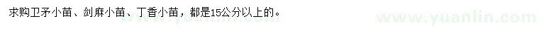 求购卫矛小苗、剑麻小苗、丁香小苗