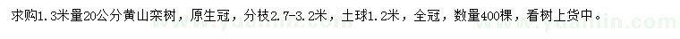 求购1.3米量20公分黄山栾树