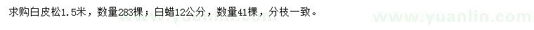 求购1.5米白皮松、12公分白蜡