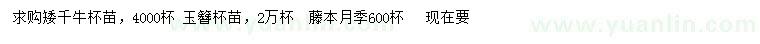 求购矮千牛、玉簪、藤本月季