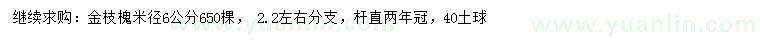 求购米径6公分金枝槐