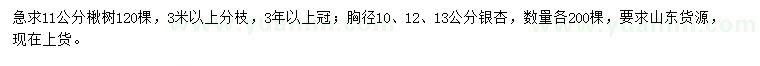 求购11公分楸树、胸径10、12、13公分银杏