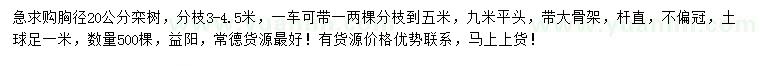 求购胸径20公分栾树