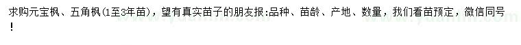 求购1-3年元宝枫、五角枫苗