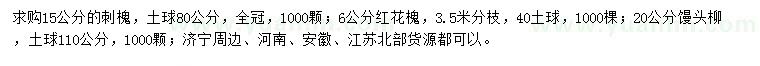 求购刺槐、红花槐、馒头柳