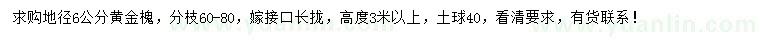 求购地径6公分黄金槐