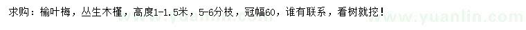 求购高1-1.5米榆叶梅、丛生木槿