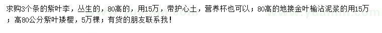 求购丛生紫叶李、地接金叶榆、紫叶矮樱