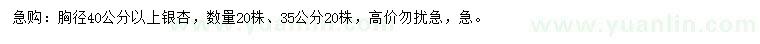 求购胸径35、40公分银杏