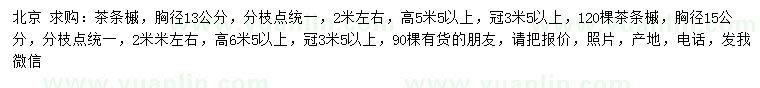 求购胸径13、15公分茶条槭