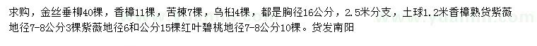 求购金丝垂柳、香樟、苦楝等