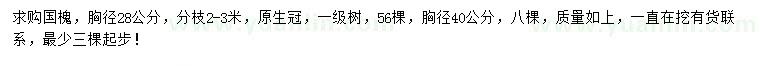 求购胸径28、40公分国槐