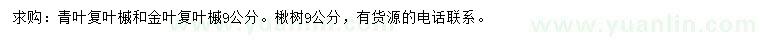 求购青叶复叶槭、金叶复叶槭、楸树