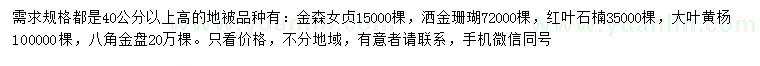 求购金森女贞、酒金珊瑚、红叶石楠等