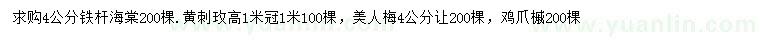 求购铁杆海棠、黄刺玫、美人梅等