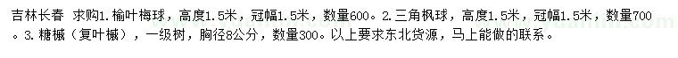 求购榆叶梅球、三角枫球、糖槭