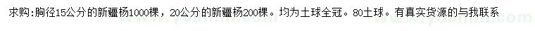 求购胸径15、20公分新疆杨