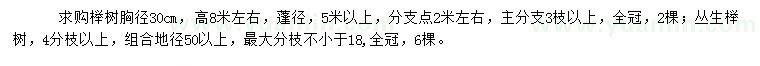 求购胸径30公分榉树、丛生榉树