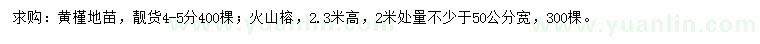 求购4-5公分黄槿、高2.3米火山榕