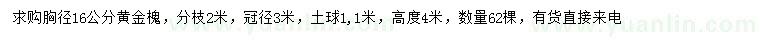 求购胸径16公分黄金槐