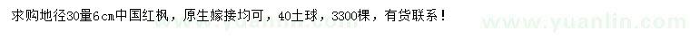 求购30量6公分中国红枫