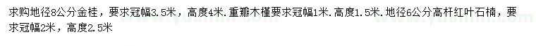 求购金桂、重瓣木槿、高杆红叶石楠