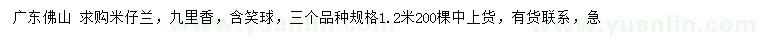 求购米仔兰、九里香、含笑球