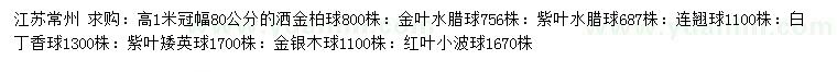 求购洒金柏球、金叶水腊球、紫叶水腊球等