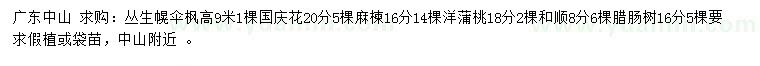 求购丛生幌伞枫、国庆花、麻楝等