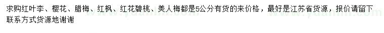 求购红叶李、樱花、腊梅等