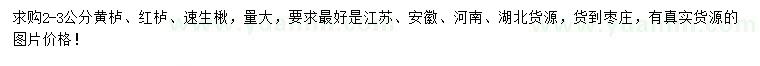 求购黄栌、红栌、速生楸