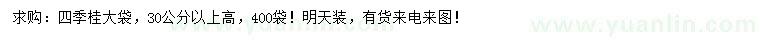 求购高30公分以上四季桂