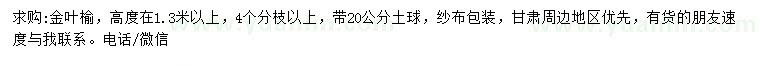 求购高度1.3米以上金叶榆