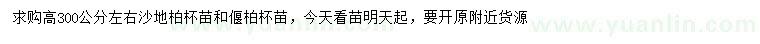 求购高300公分左右沙地柏、偃柏