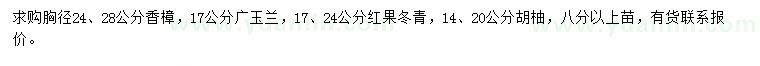 求购香樟、广玉兰、红果冬青等