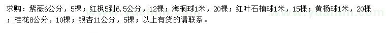 求购紫薇、红枫、海桐球等