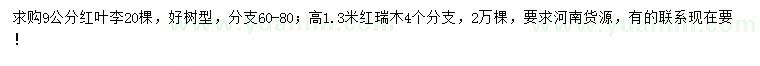求购9公分红叶李、高1.3米红瑞木