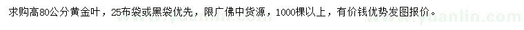 求购高80公分黄金叶