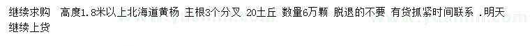 求购高度1.8米以上北海道黄杨