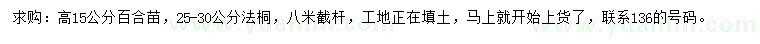 求购高15公分百合苗、25-30公分法桐