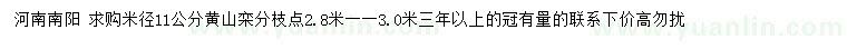 求购米径11公分黄山栾