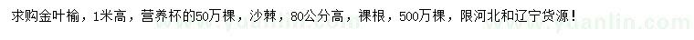 求购高1米金叶榆、高80公分沙棘